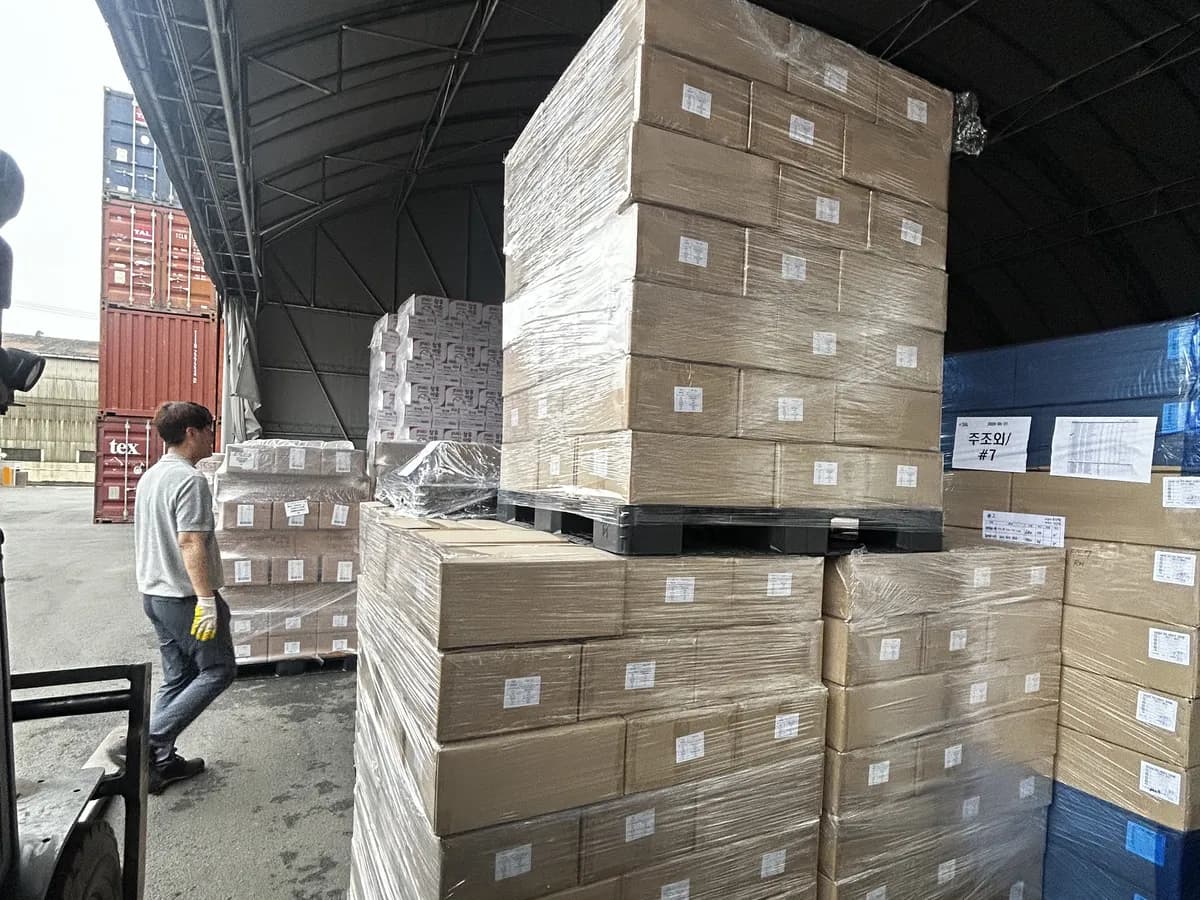Recepción e inspección de pallets en el muelle de la bodega