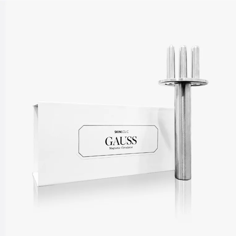 Gauss